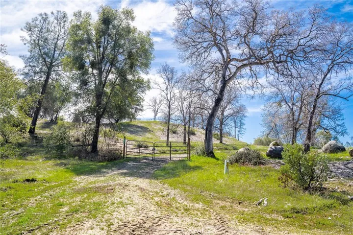 3831 Broncho Hollow Lane, Mariposa, California 95338
