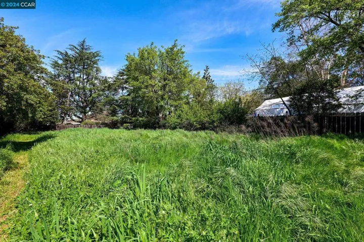 3631 Walnut Ave, Concord, California 94519