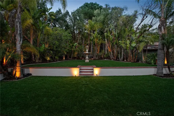 Lighted Backyard