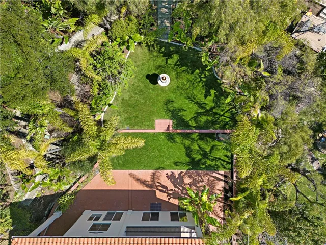 Aerial Shot of Backyard