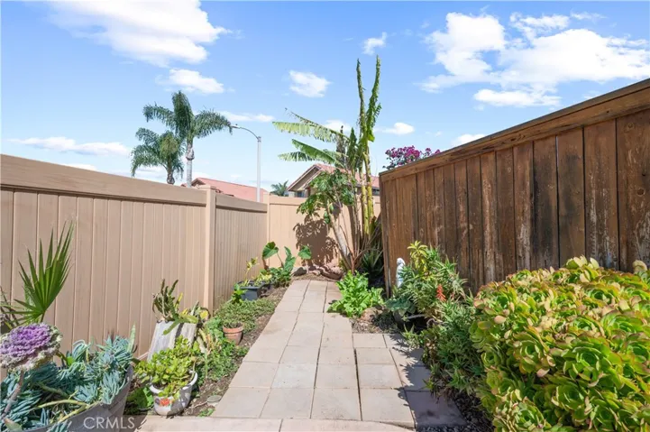 Vegetable Garden