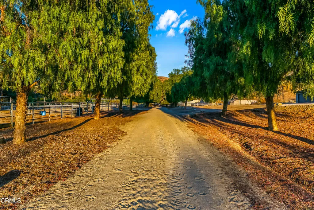 6770 Wheeler Canyon Road, Santa Paula, California 93060 home-pic-0