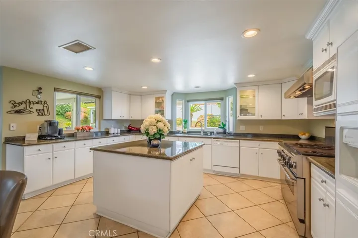 Gourmet Chef's Kitchen