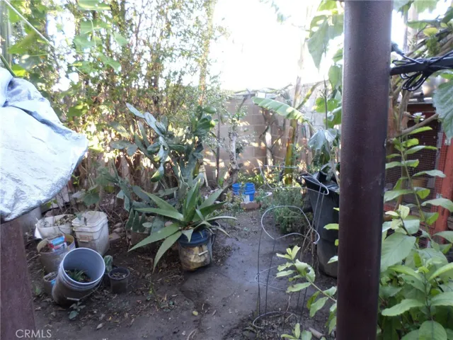 211 E 116th Street, Los Angeles, California 90061