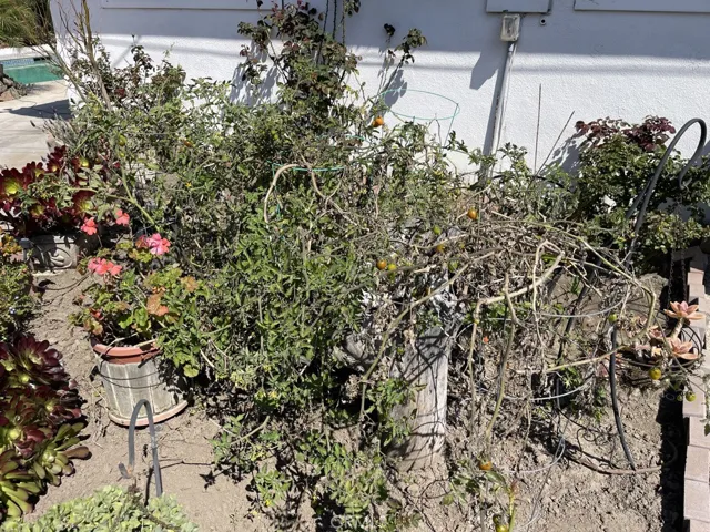 6531 Alexandria Drive, Huntington Beach, California 92647