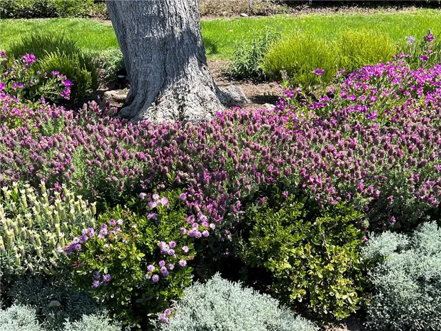 33908 Cape Cove, Dana Point, California 92629