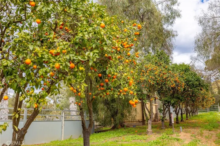 1676 Dentro De Lomas, Bonsall, California 92003