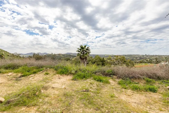1676 Dentro De Lomas, Bonsall, California 92003