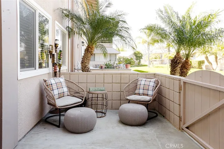 Patio Palms