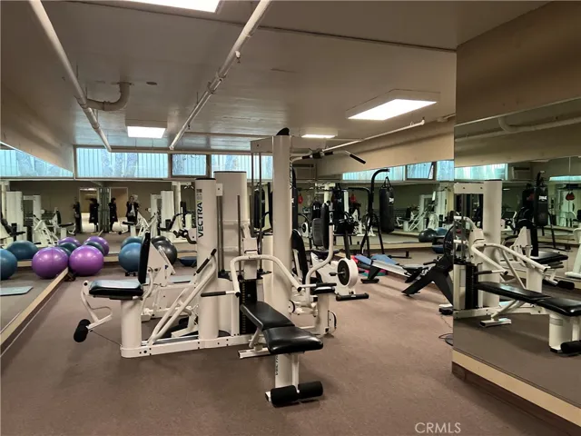Association Gym!
