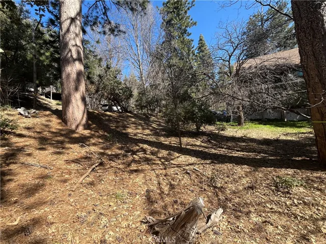 Looking up from bottom of the property