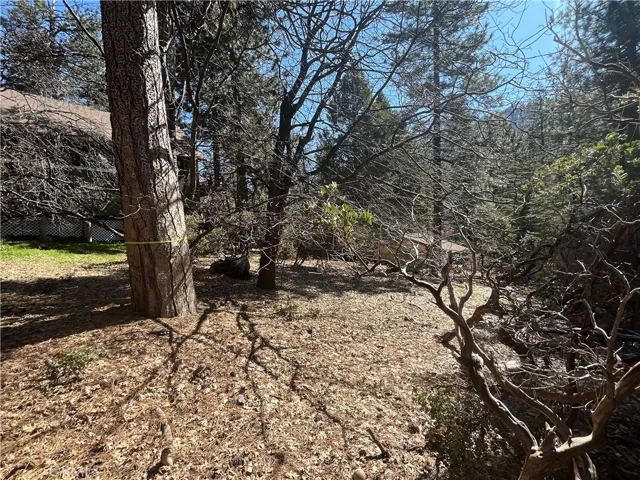 View from the bottom of the property