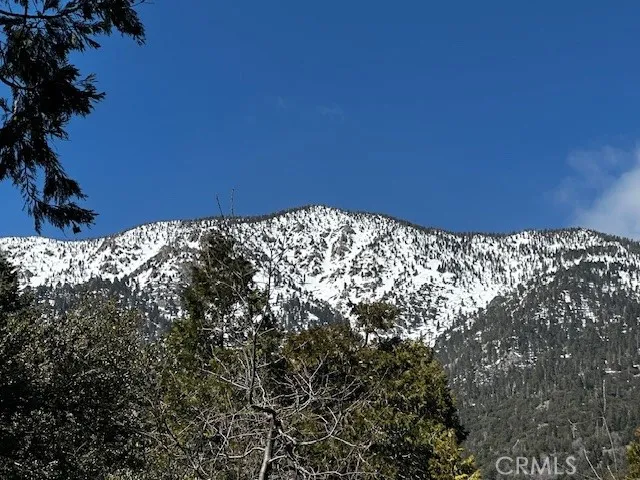 39568 Prospect Drive, Forest Falls, California 92339