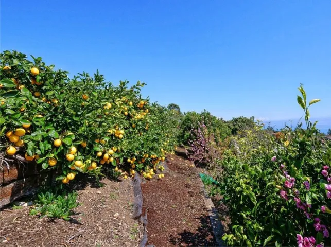 3242 Parkhurst Drive, Rancho Palos Verdes, California 90275