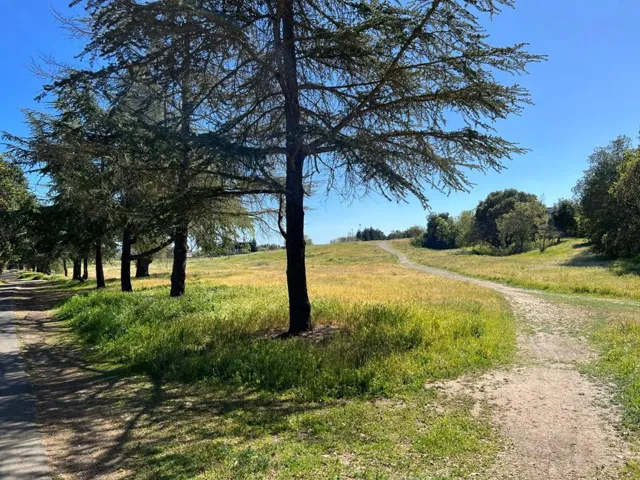 1030 Paradise Way, Palo Alto, California 94306