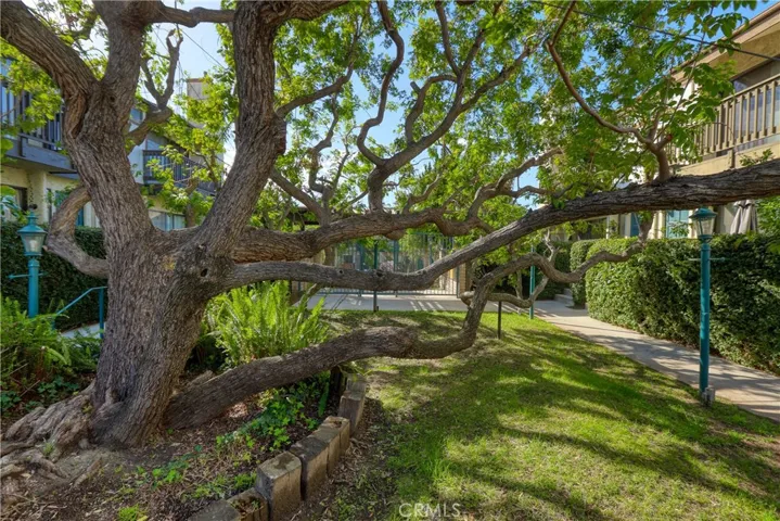 4214 Troost Avenue 13, Studio City, California 91604