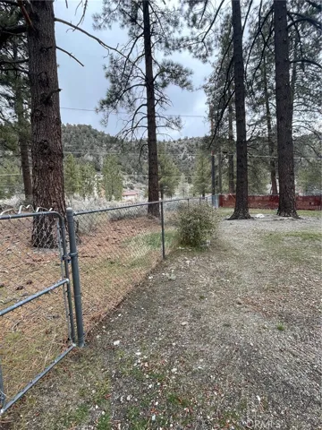 874 Snowbird Road, Wrightwood, California 92397