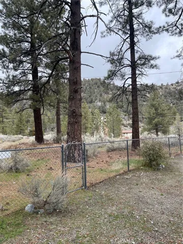 874 Snowbird Road, Wrightwood, California 92397