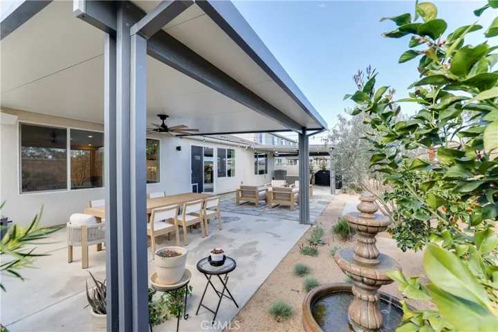 Citrus & olive trees
