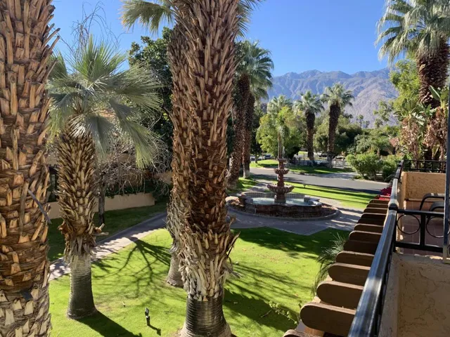 115 view from patio