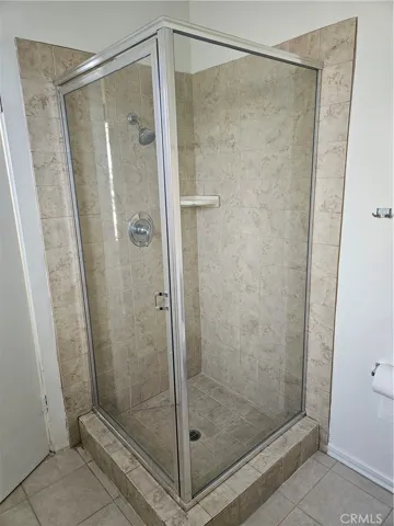 shower in Master Bath
