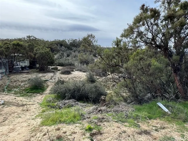 39615 Meyers Lane, Anza, California 92539