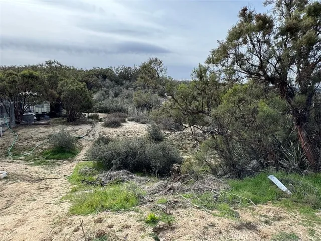 39615 Meyers Lane, Anza, California 92539