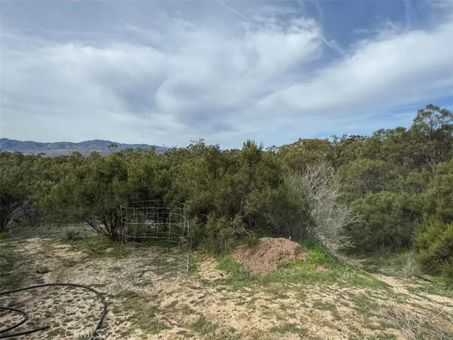 39615 Meyers Lane, Anza, California 92539