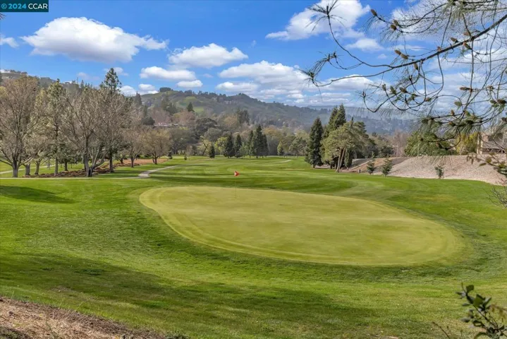 2632 Ptarmigan Dr 1, Walnut Creek, California 94595