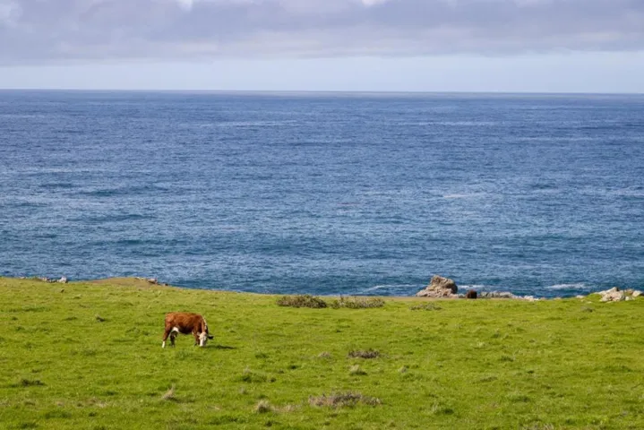 37305 Highway 1, Carmel, California 93923