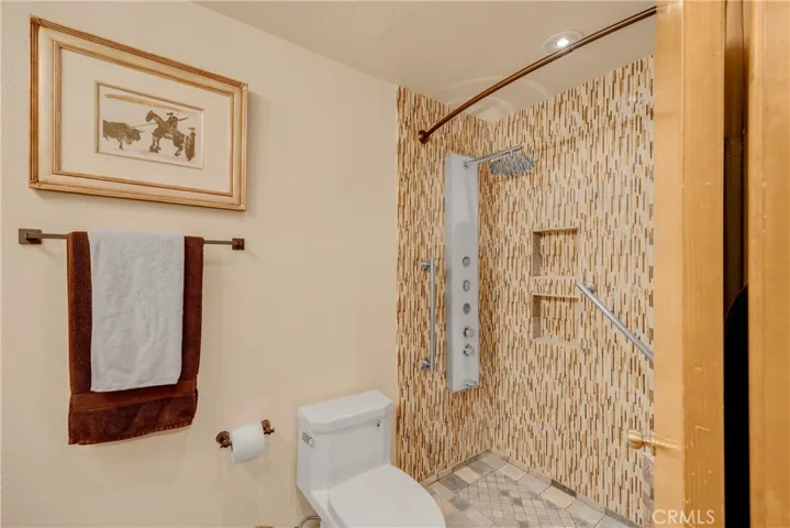 Remodeled Hallway Bathroom Shower with Full Body Shower Panel