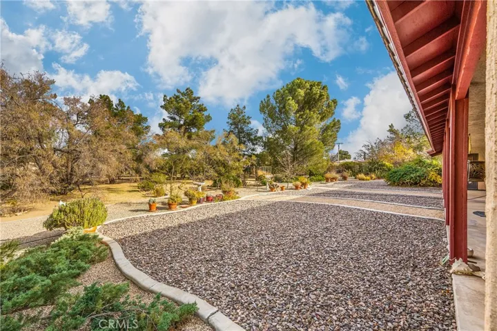 View into Back Yard
