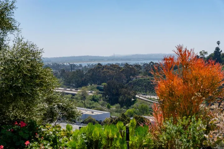 View from back yard