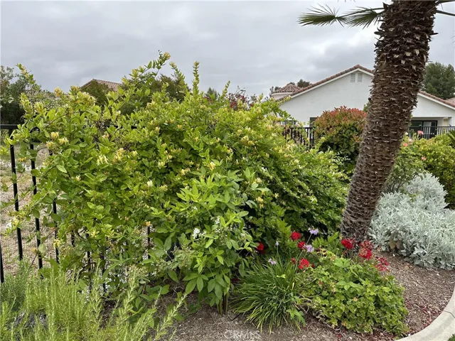 29350 Warm Creek Way, Menifee, California 92584