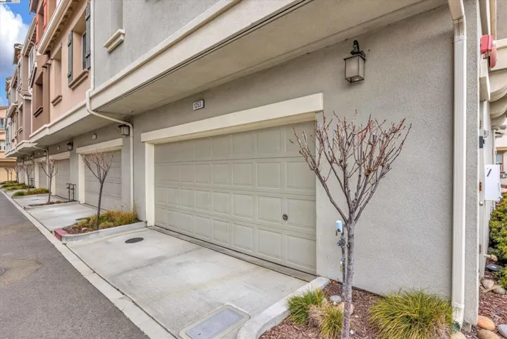 1253 George, Hayward, California 94541-4398