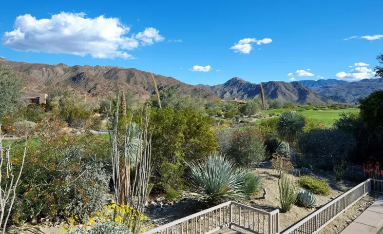 49990 DESERT ARRAYO TRAIL 58