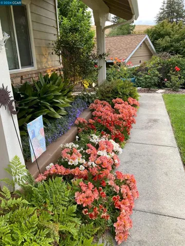 2423 Ascension Dr, San Ramon, California 94583