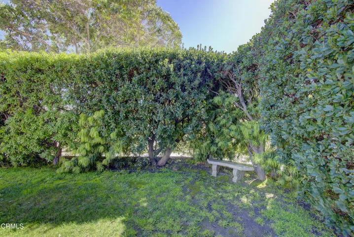 Privacy Hedge