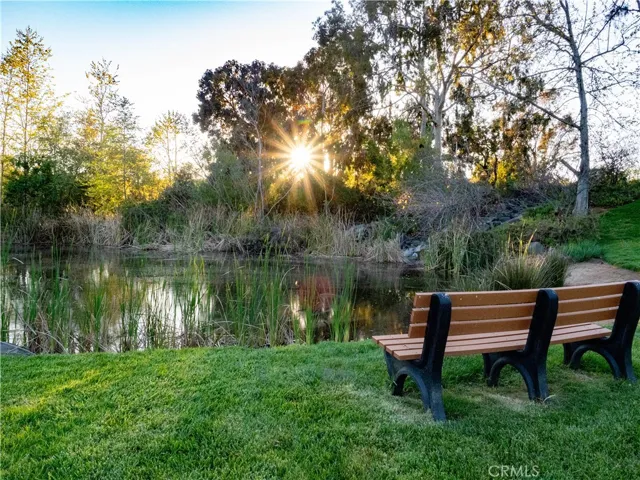 Community pond