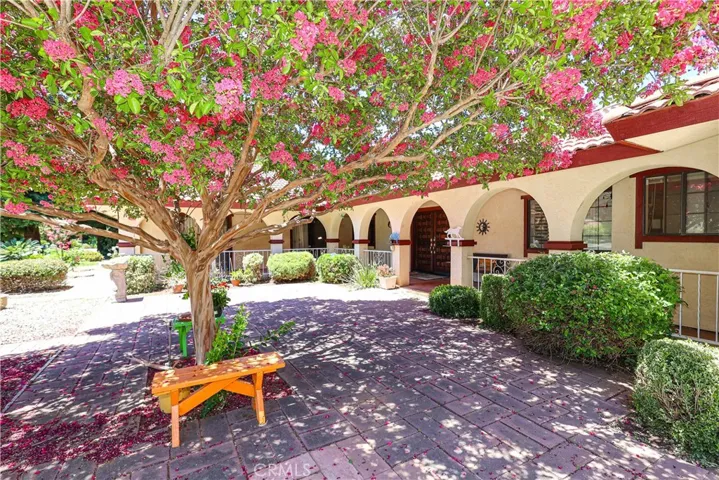 Prior to new exterior paint, to show blooming tree