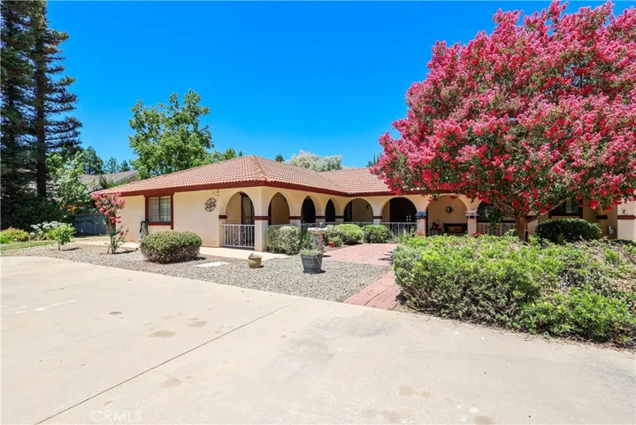 Prior to new exterior paint, to show blooming tree
