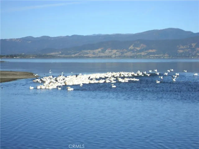 10 Royale Avenue 6a-9, Lakeport, California 95453