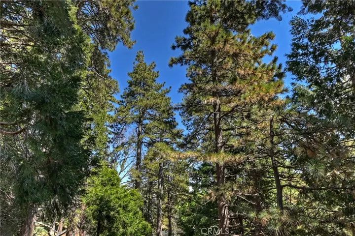 681 W Victoria Court, Lake Arrowhead, California 92352