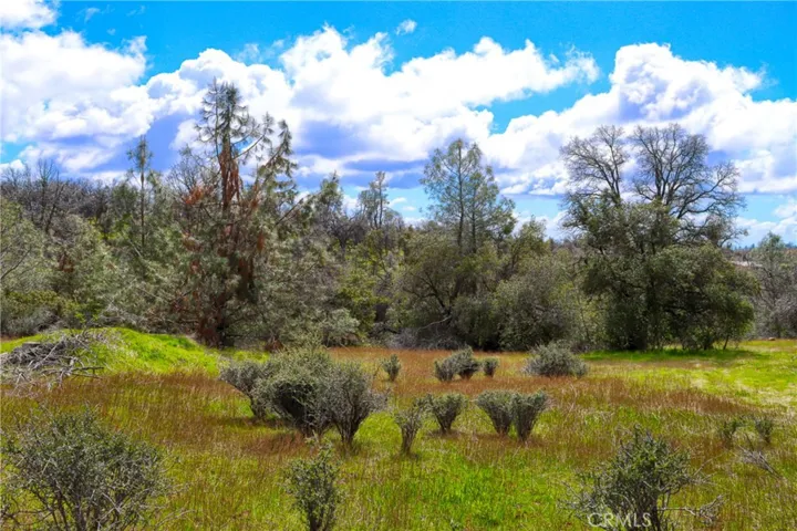 5428 E Whitlock Road, Midpines, California 95345