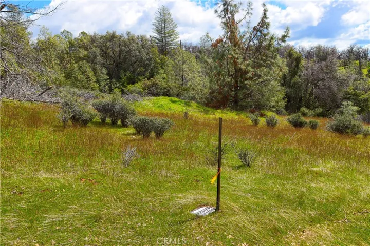 5428 E Whitlock Road, Midpines, California 95345