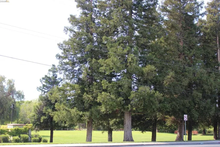 Buchanan Park