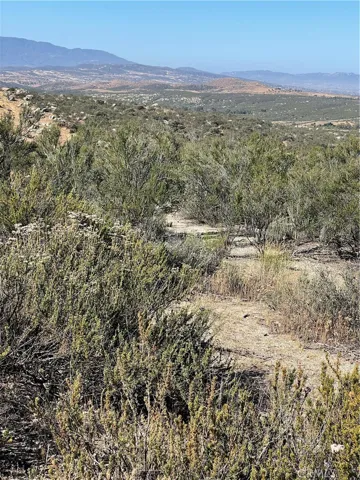 View of the lot.
