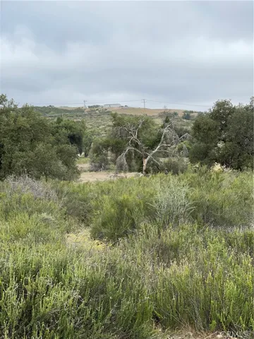 View from parcel.