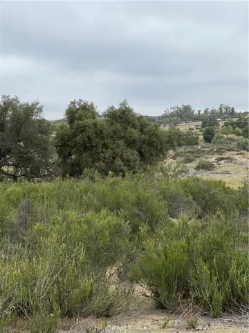 View from parcel.