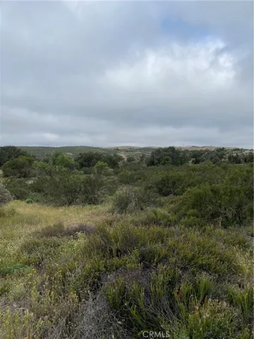 View from parcel.